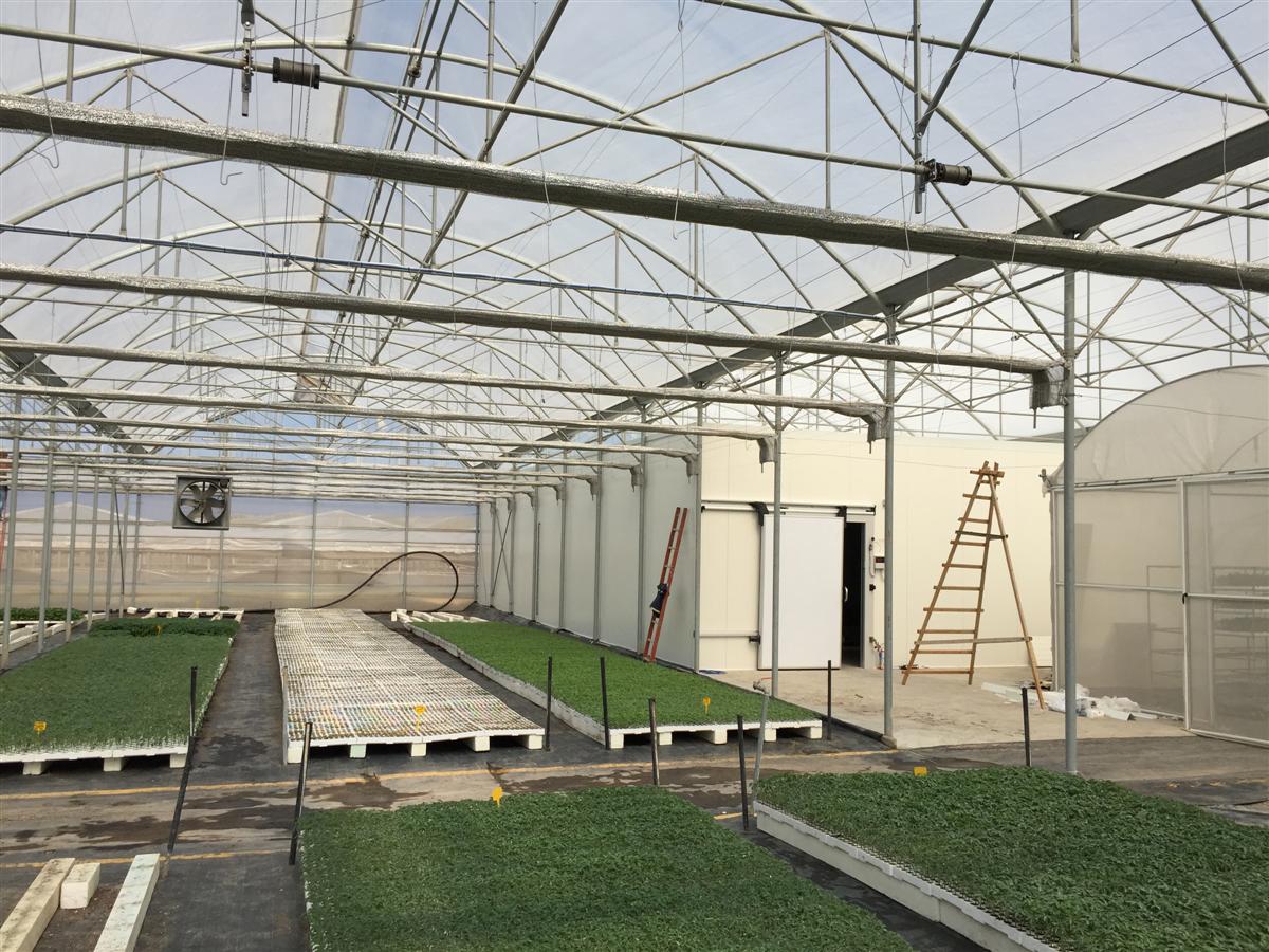 Cella di conservazione 08